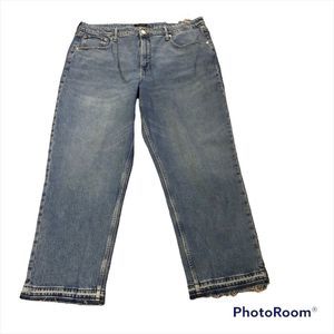 Free Assembly the original 90’s straight plus size 22 raw hem light wash
